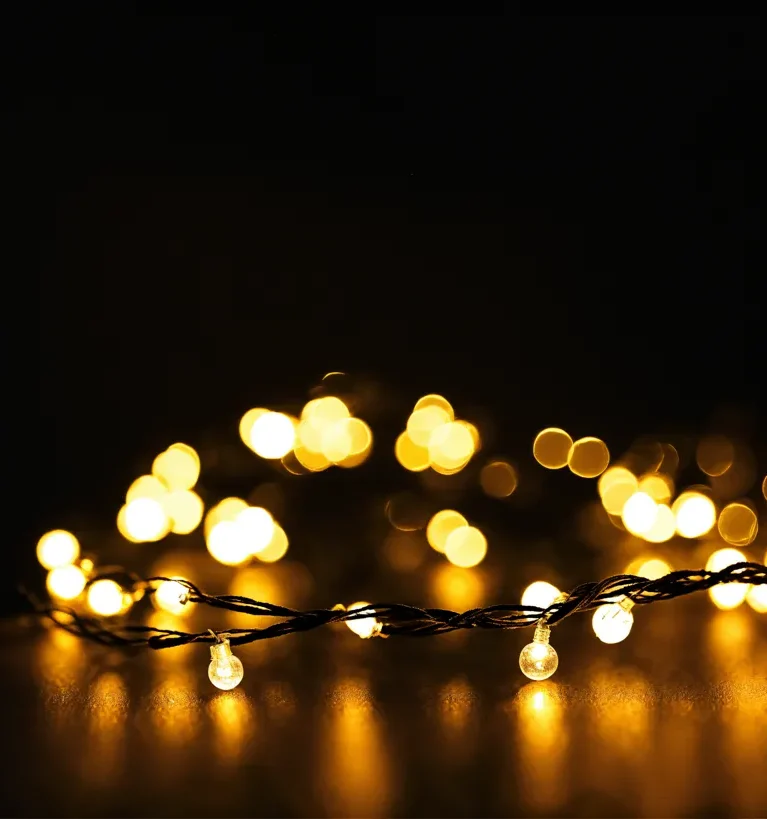 Holiday Gathering